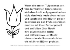 Tulpe-Abschreibtexte-SW 4.pdf